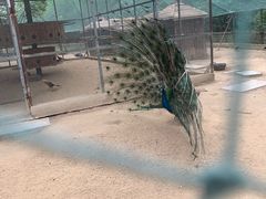 -祥源·阜阳生态乐园