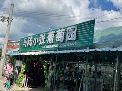 -马陆小张葡萄园农家乐