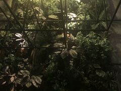 -柒Lounge(三里屯店)