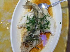 清蒸鲈鱼-竹溪百福酒家(同和店)