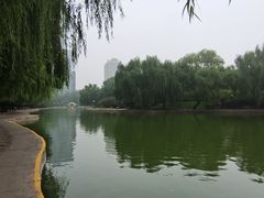 -团结湖公园