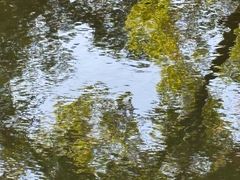 -常州古运河南大街文化旅游区-人民公园