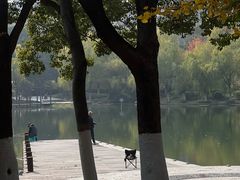-天鹅湖体育公园