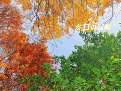 -尚贤河湿地