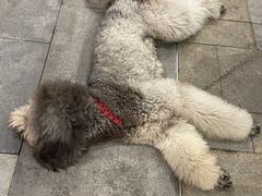 -星巴克(杭州银泰城西一店)