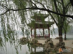 -紫竹院公园冰场