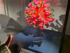 -四川大学博物馆