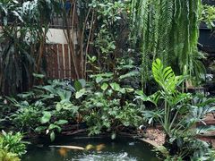 -Fern Forest Cafe