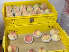 -老袁家蜜桃农场·阳山水蜜桃