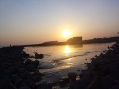 -南汇嘴观海公园