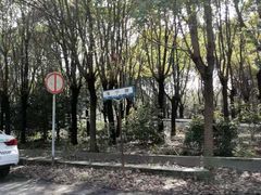 -胜华驾校·小猫学车(银都店)