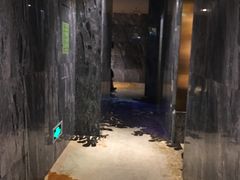 -畅想汤泉生活(民治店)