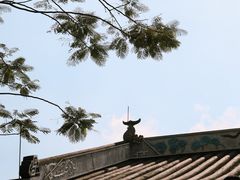 -顺峰山公园
