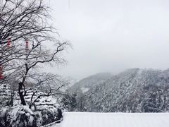 -鹿亭中村