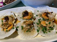 -碧丽宫大酒店(召稼楼店)