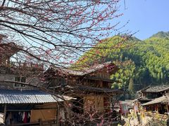-林坑古村落