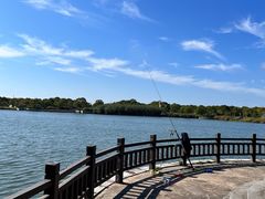 -上海都市菜园