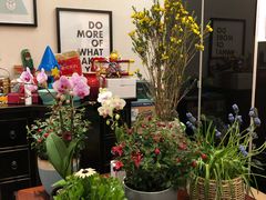 -龙大花卉苗木市场