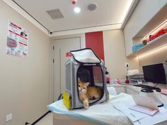 -御宝贝24h宠物医院·转诊中心·CT核磁血透中心(厦门总院)