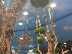 -凯德广场(学府店)