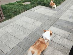 -成都市活水公园