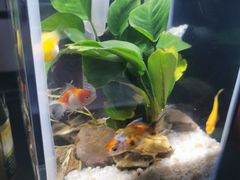 -上楼私房菜(院士路店)