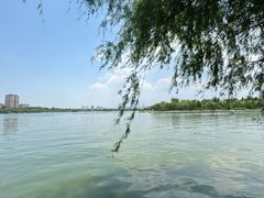 -济南大明湖景区