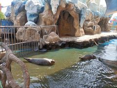 -华夏文旅海洋公园