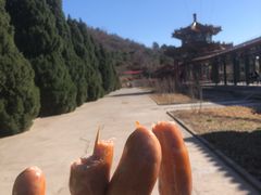 -北京十三陵国家森林公园蟒山景区