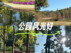 -云溪植物园