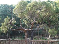 -草庵摩尼教遗址公园