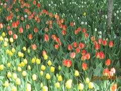 醒目-长春公园(普阳街道)