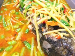 活渡花鲢-蜀江春(科华北路店)