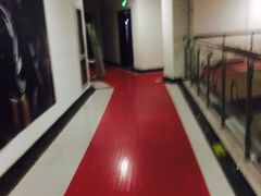 -沈坚强游泳俱乐部(长征分部)