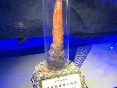 -厦门海底世界