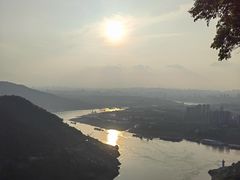 -铁山坪森林公园