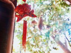 -基诺山寨.版纳民族特色菜