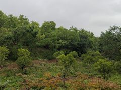 -合肥野生动物园