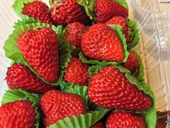 -新侨小馆(东直门北小街店)