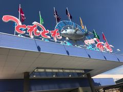 -海鮮寿司とれとれ市場