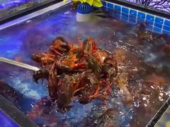 -圣罗巴海鲜烤肉自助(佳兆业店)