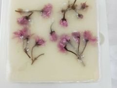 -漫生活烘焙·无糖蛋糕·动物奶油