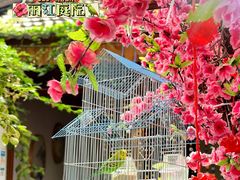 -丽江庭院之爱在路上(西单店)