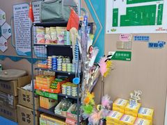 -天使宠物医院·犬猫分诊(彩虹店)