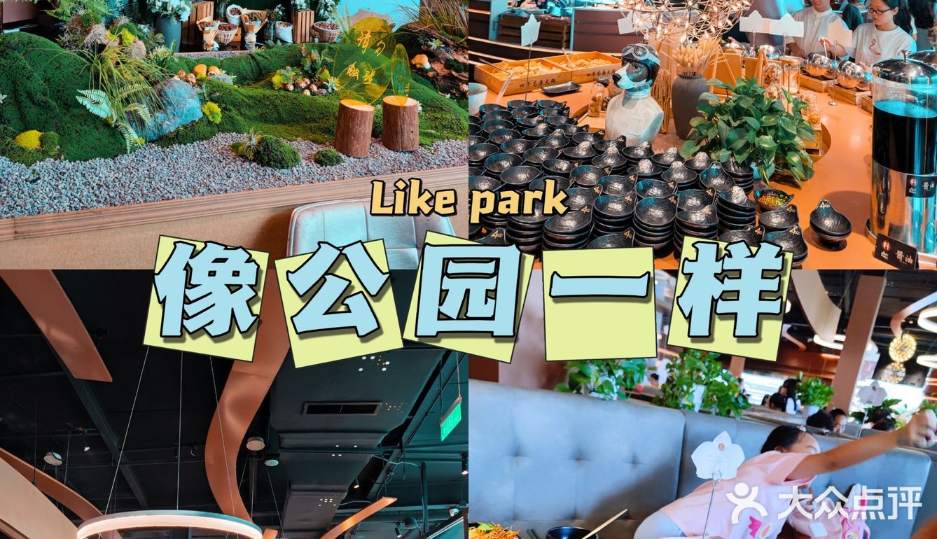 朋友聚会想整个养生局⁉️就餐环境绝了的4000高原