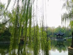 -陶然亭公园
