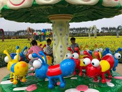 -迪茵湖田家舍生态农场