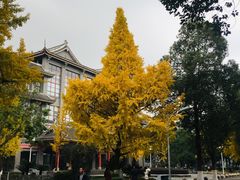 -四川大学(华西校区)