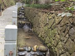 -十八棵（老龙井）御茶园(老龙井店)
