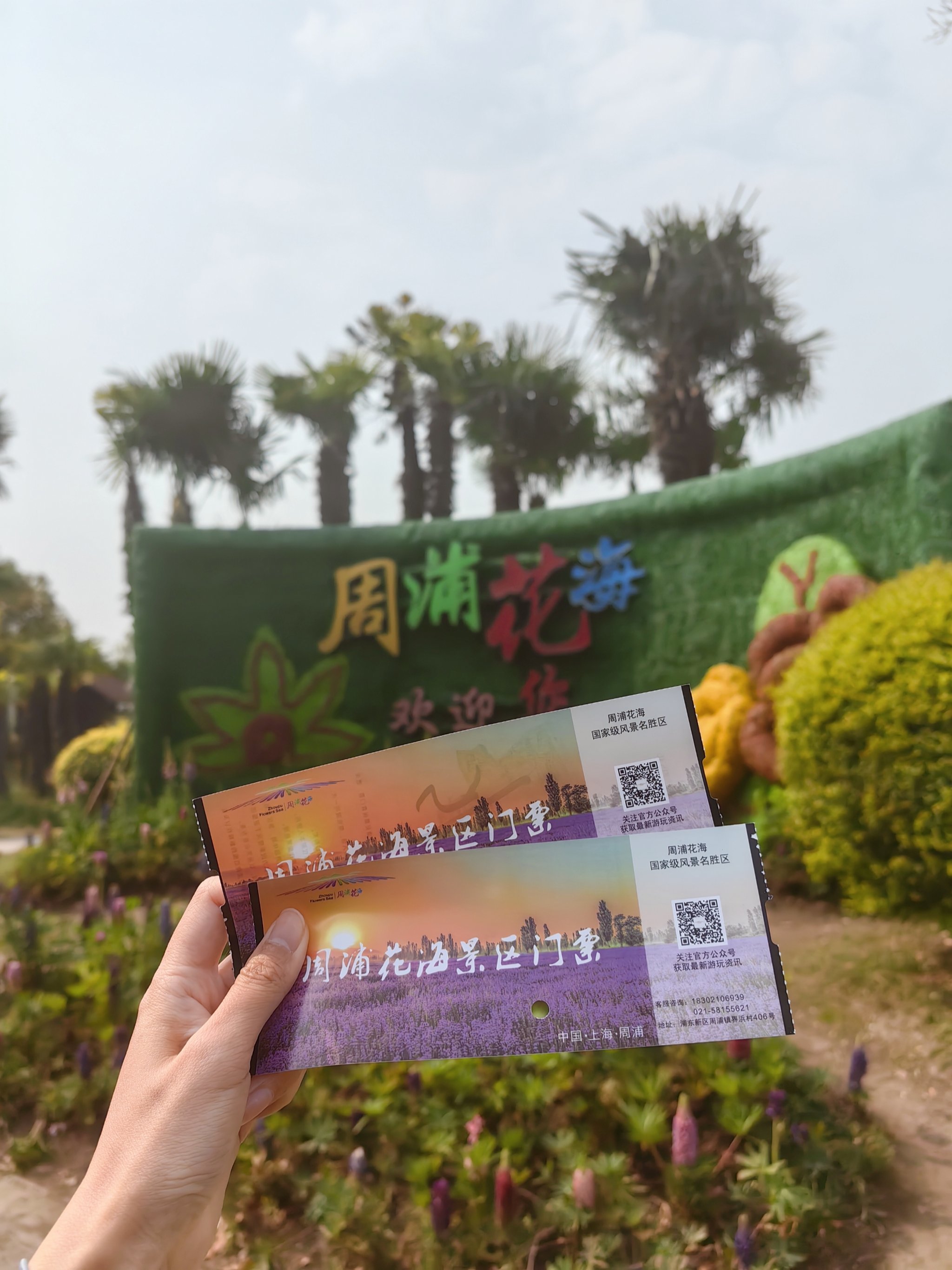 早春赏花好去处✅ 拍照超美💯